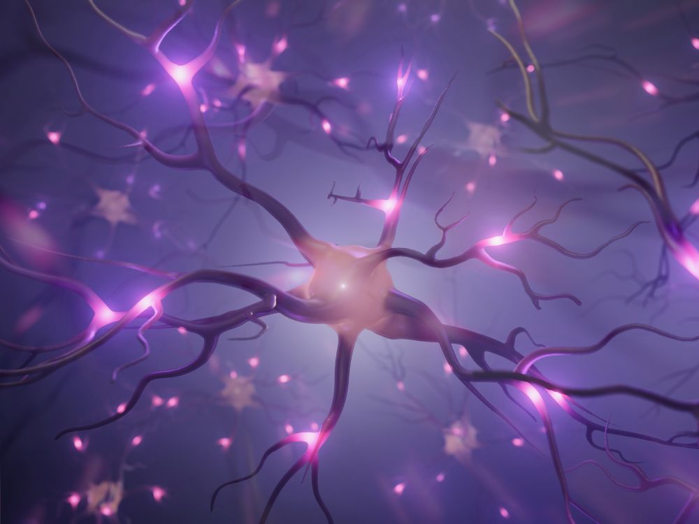 Neurônios e rede neural com sinais para ilustrar a neuroplasticidade, reforçando a importância da neurociência para a educação.