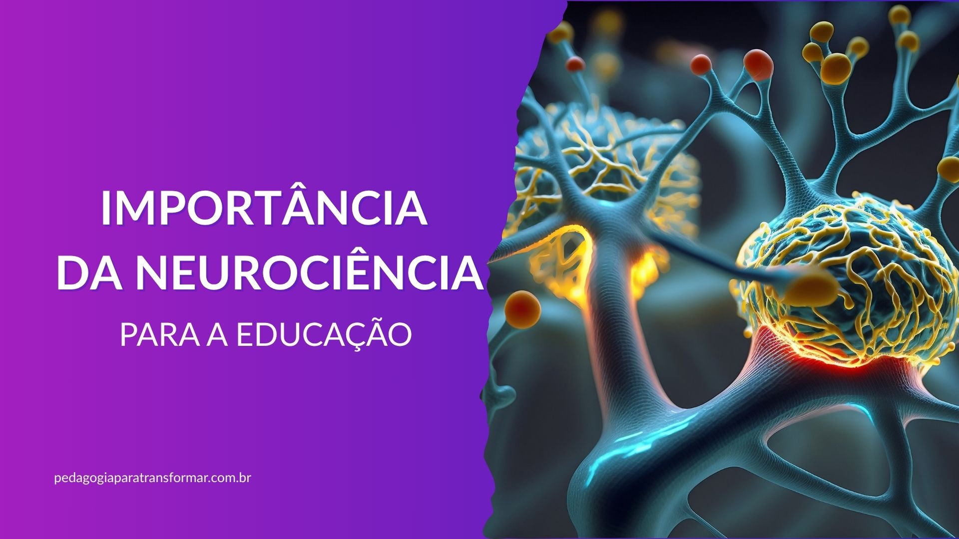 Estruturas de neurônios e sinapses para ilustrar a importância da neurociência para a educação.